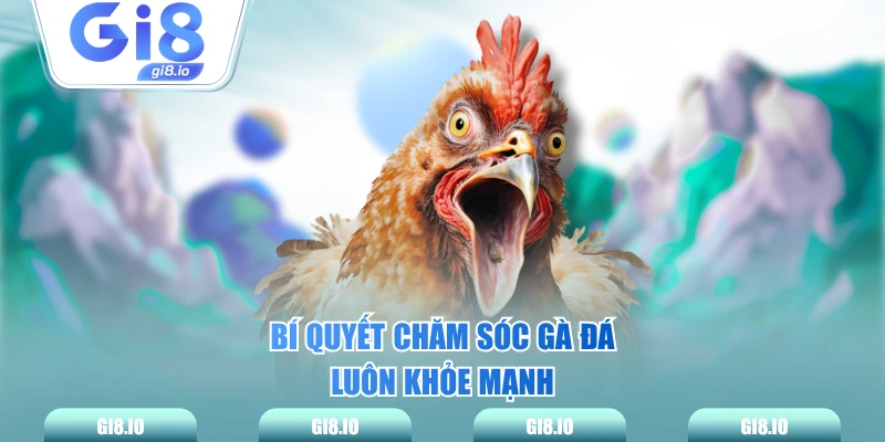 Bí quyết chăm sóc gà đá luôn khỏe mạnh