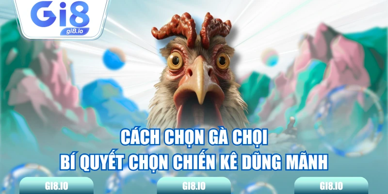 Cách Chọn Gà Chọi