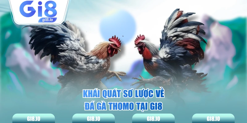 Khái quát sơ lược về đá gà Thomo tại GI8