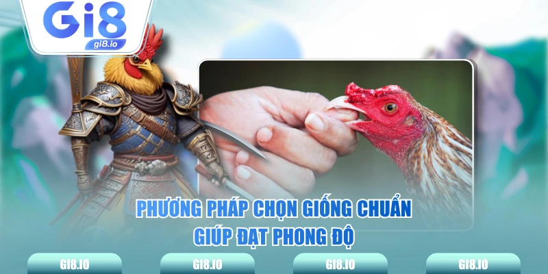 Phương pháp chọn giống chuẩn giúp đạt phong độ